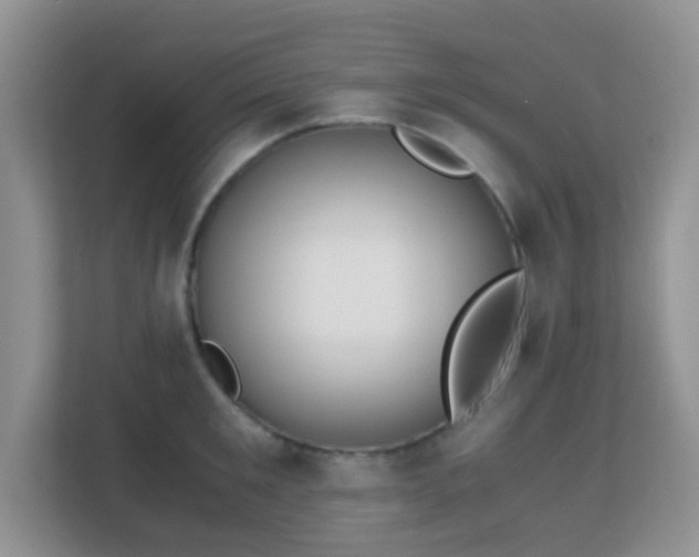 X0000113170901200909111032