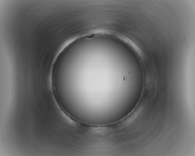 X0000113170902200909111032