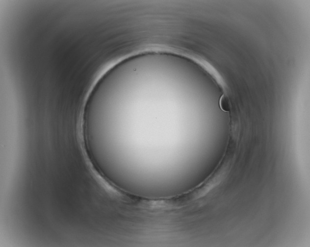 X0000113170903200909111032