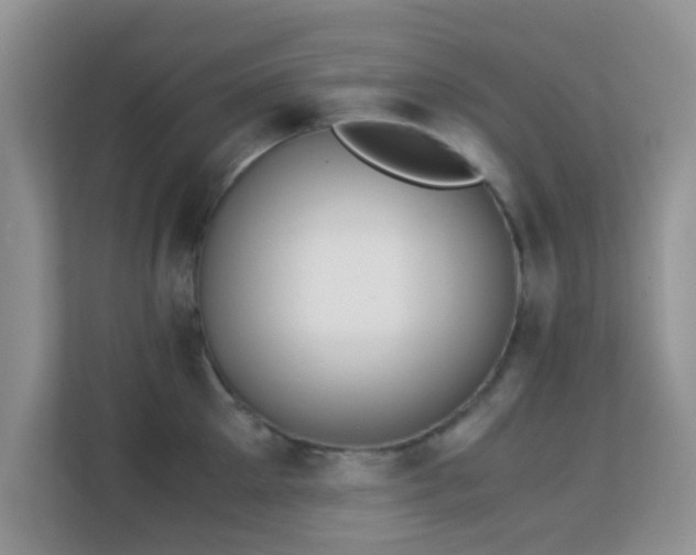 X0000113170905200909111032