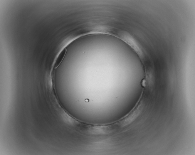 X0000113170908200909111032