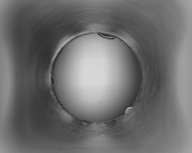 X0000113170912200909111032