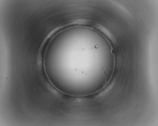 X0000113170923200909111031