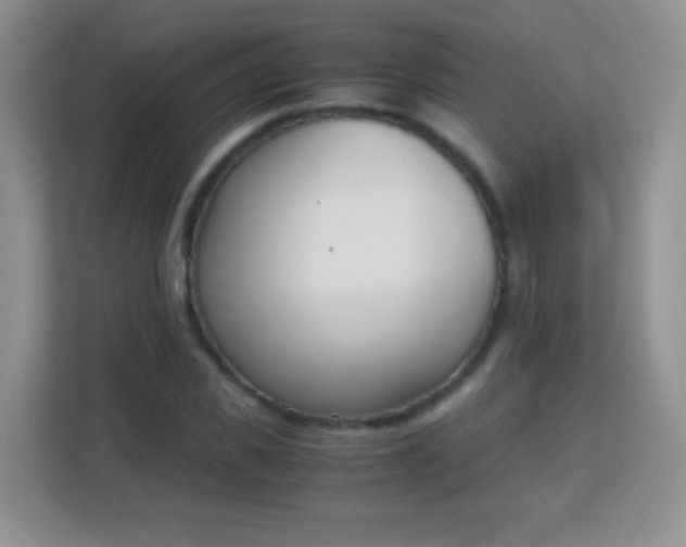 X0000113170925200909111031