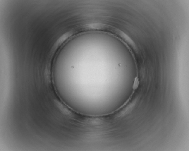 X0000113170930200909111031
