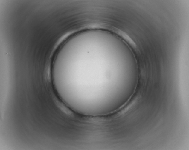 X0000113170934200909111031
