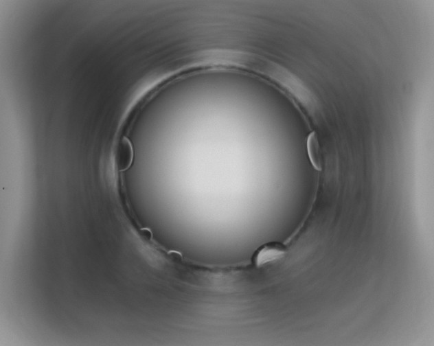 X0000113170936200909111031