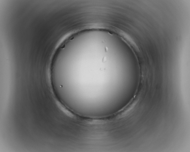 X0000113170942200909111032