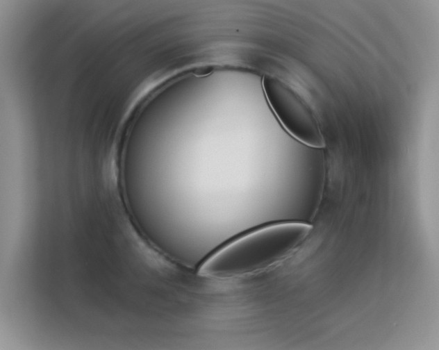 X0000113170944200909111032