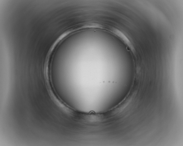 X0000113170947200909111032