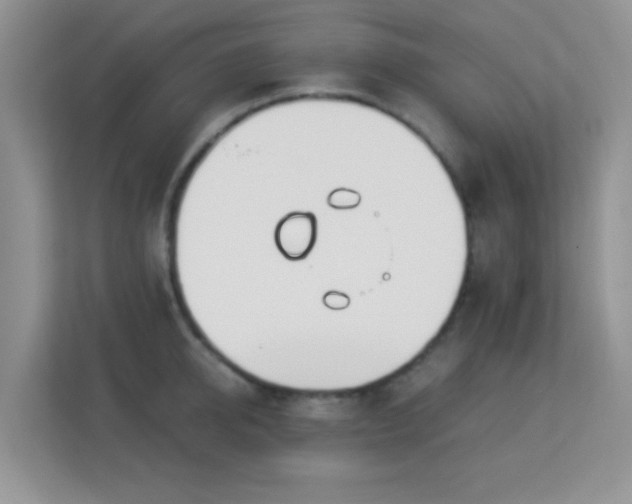X0000113170950200909111032