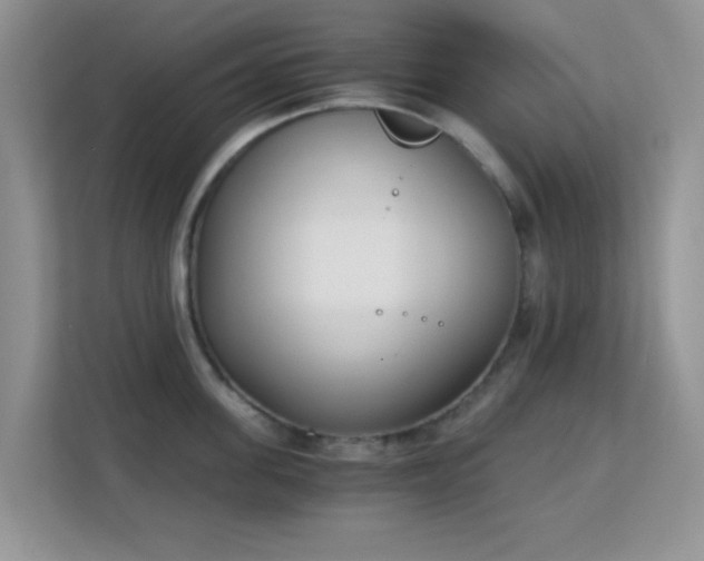 X0000113170955200909111032