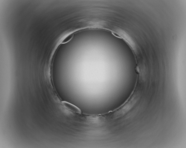 X0000113170956200909111032