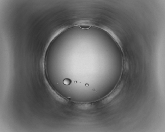 X0000113170957200909111032