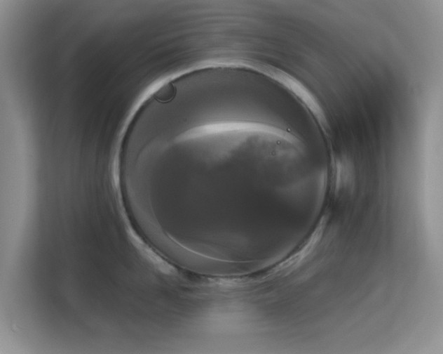 X0000113170958200909111032