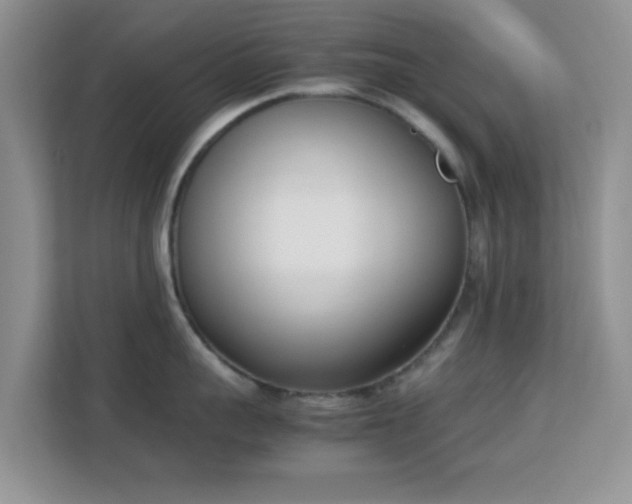 X0000113170959200909111032