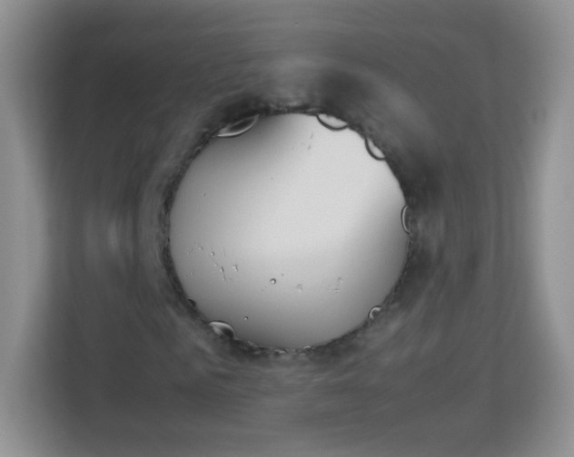 X0000113170961200909111031