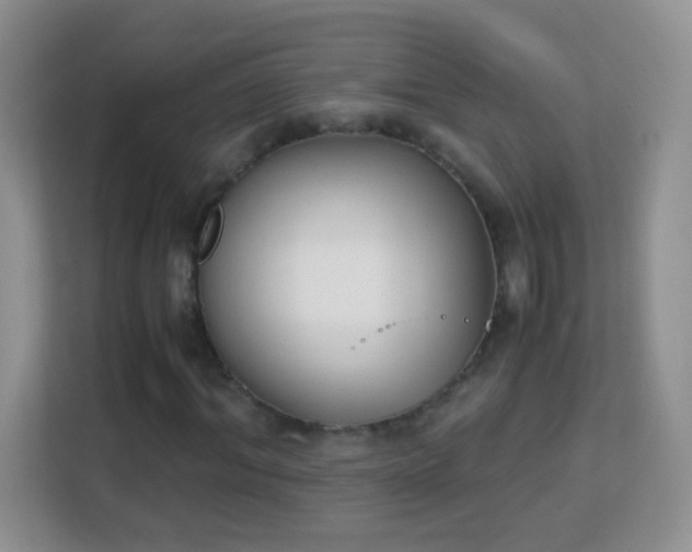 X0000113170964200909111031