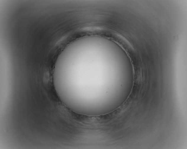 X0000113170966200909111031