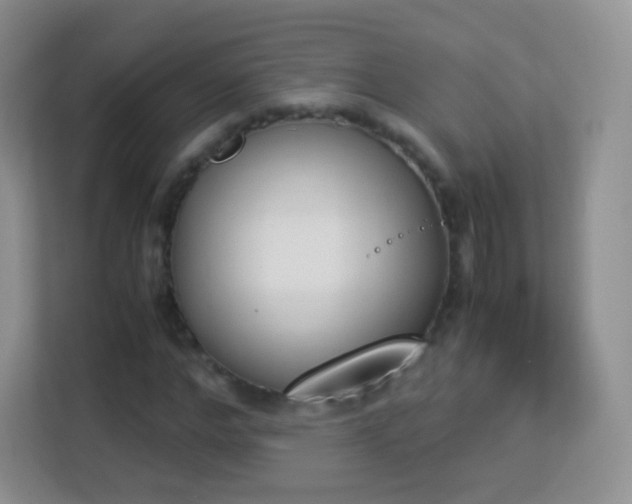 X0000113170968200909111031