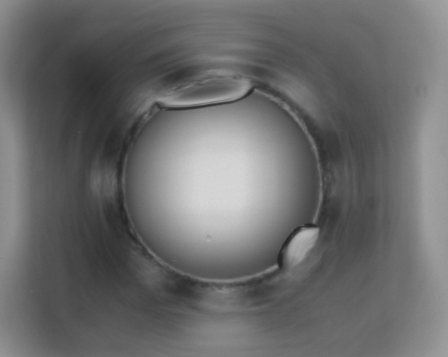 X0000113170969200909111031