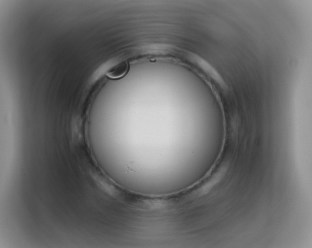 X0000113170970200909111031