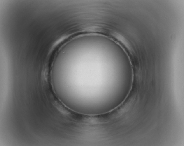 X0000113170971200909111031