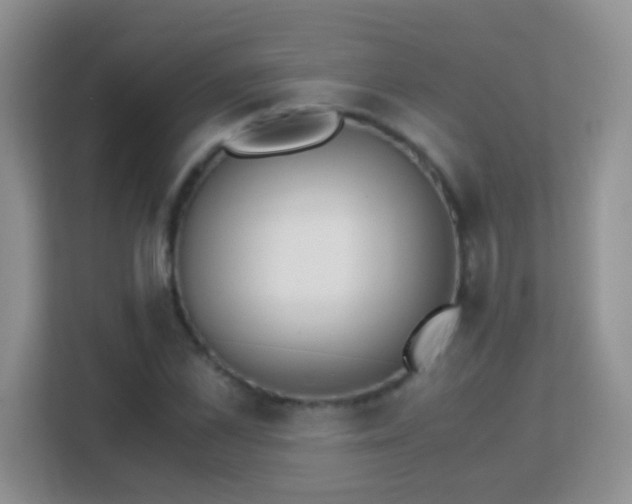 X0000113170973200909111031