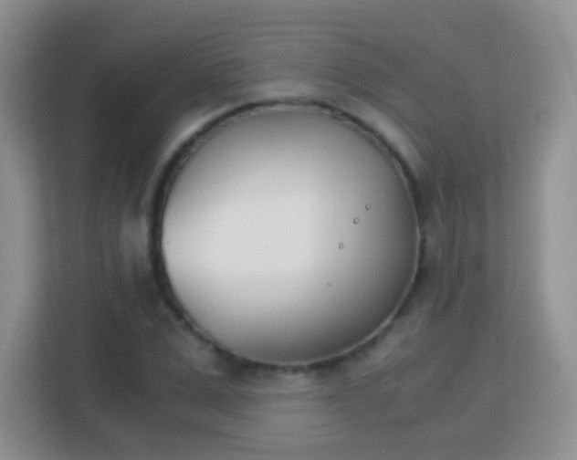 X0000113170975200909111031