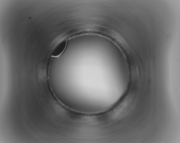 X0000113170977200909111031