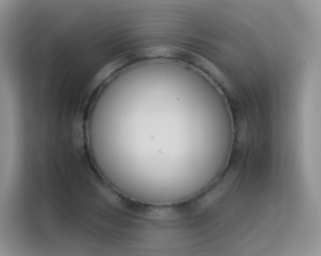 X0000113170978200909111031