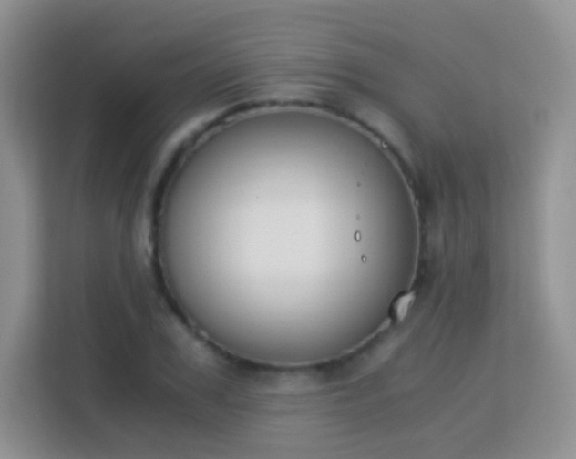 X0000113170979200909111031