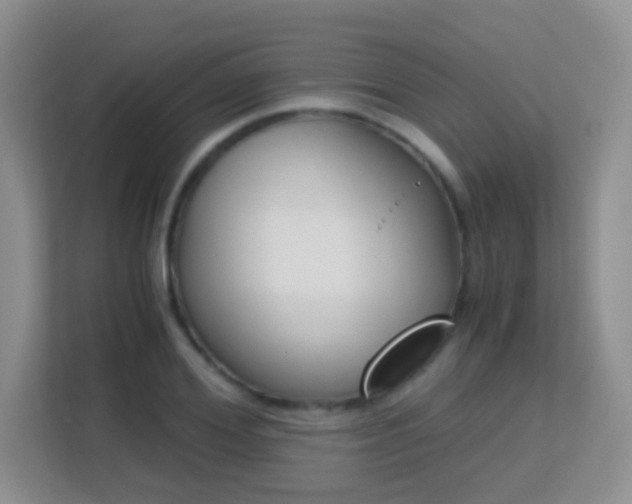 X0000113170980200909111031
