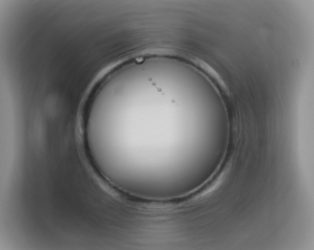 X0000113170981200909111031