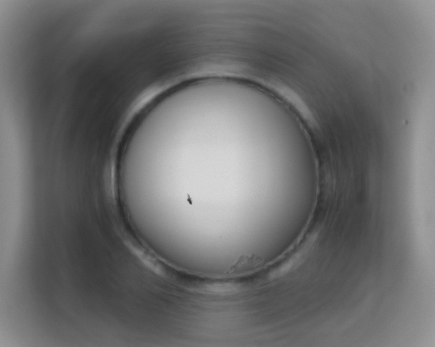 X0000113170982200909111031