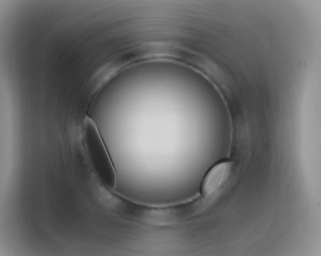 X0000113170985200909111031