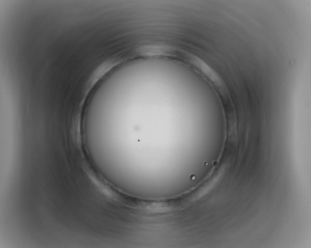 X0000113170986200909111031