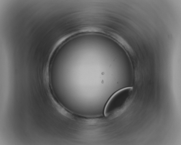 X0000113170988200909111031