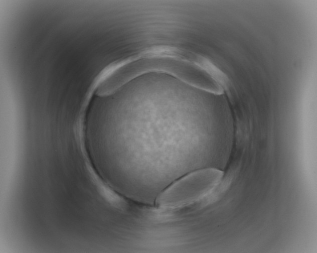 X0000113170989200909111031