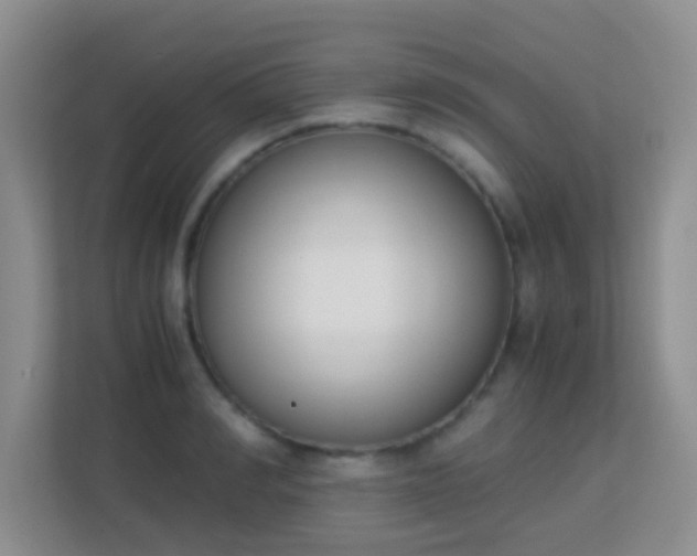 X0000113170990200909111031