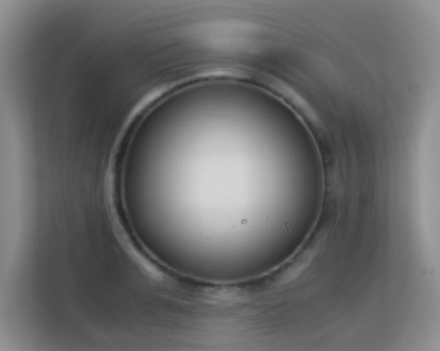 X0000113170991200909111031