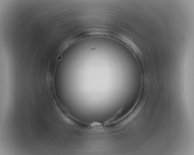 X0000113170993200909111031