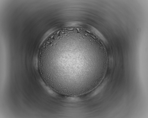 X0000113170994200909111031