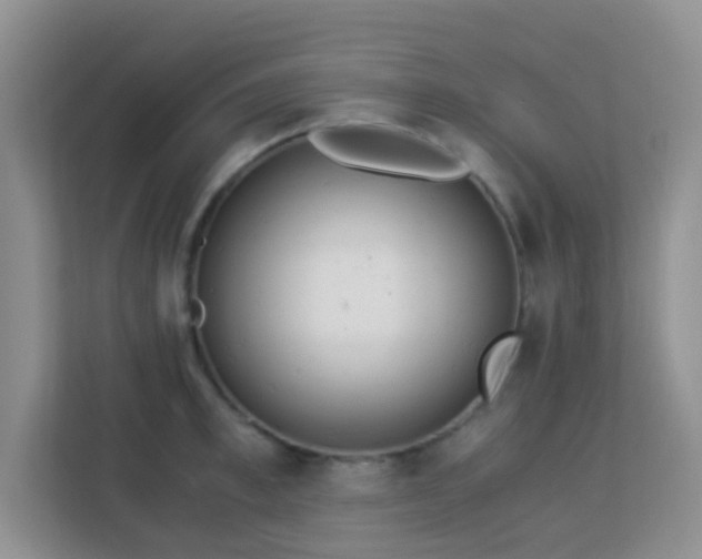 X0000113170997200909111031