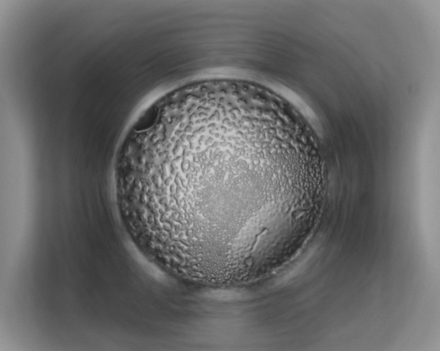 X0000113170998200909111031