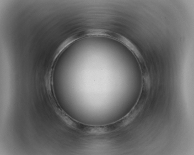 X0000113171002200909111031