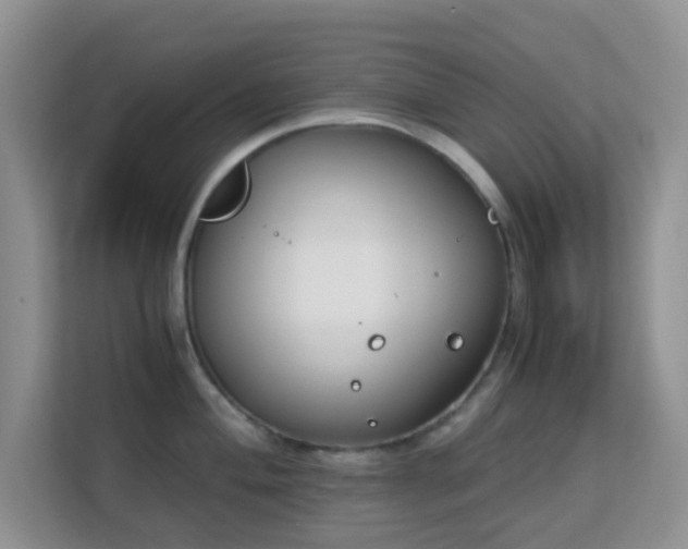 X0000113171004200909111031