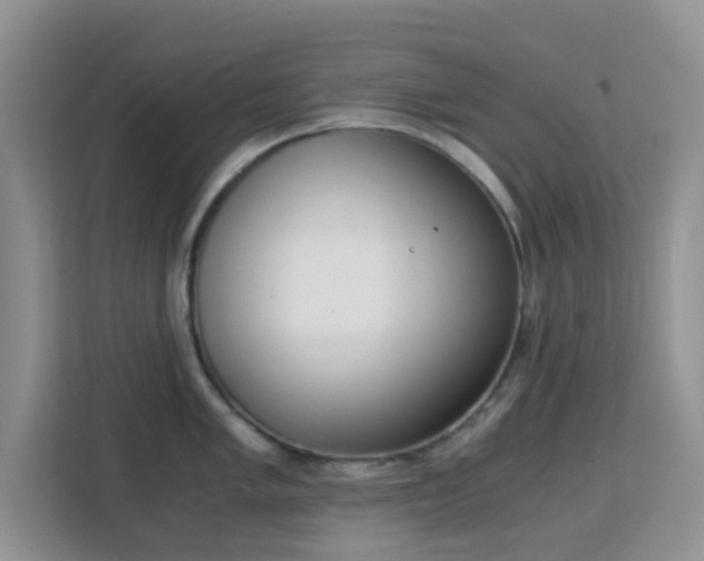 X0000113171005200909111031