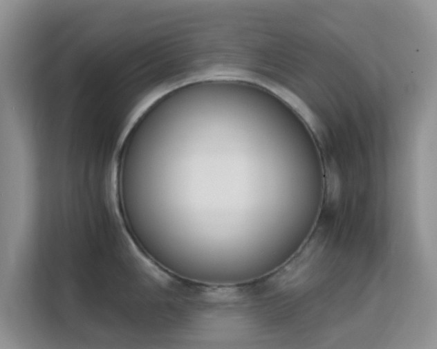 X0000113171006200909111031