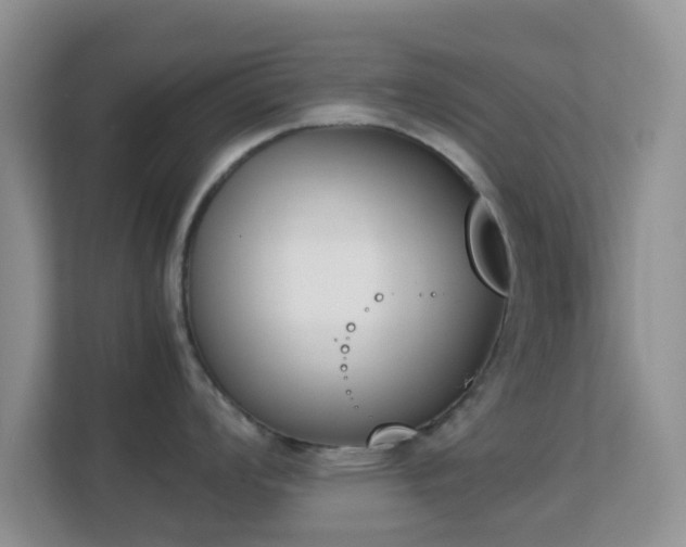 X0000113171008200909111031